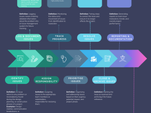 Issue Management Process Cheat Sheet